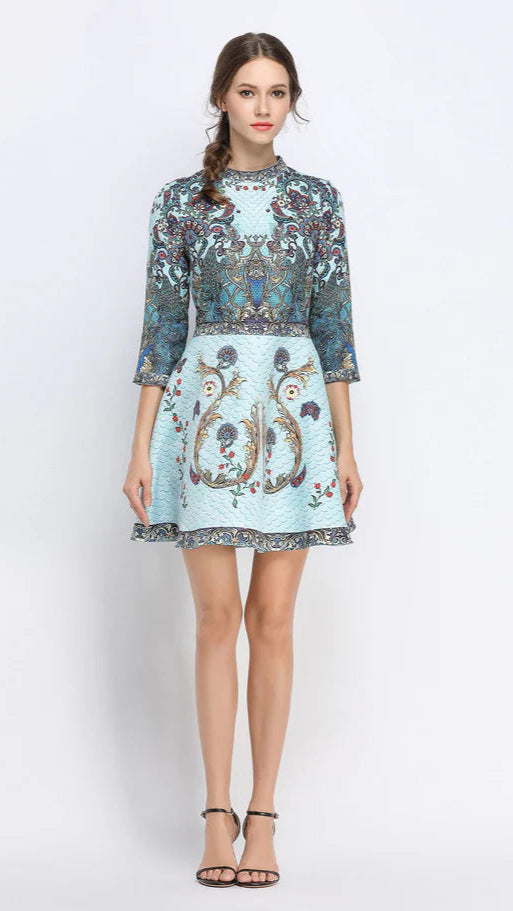 Peacock Skater Dress