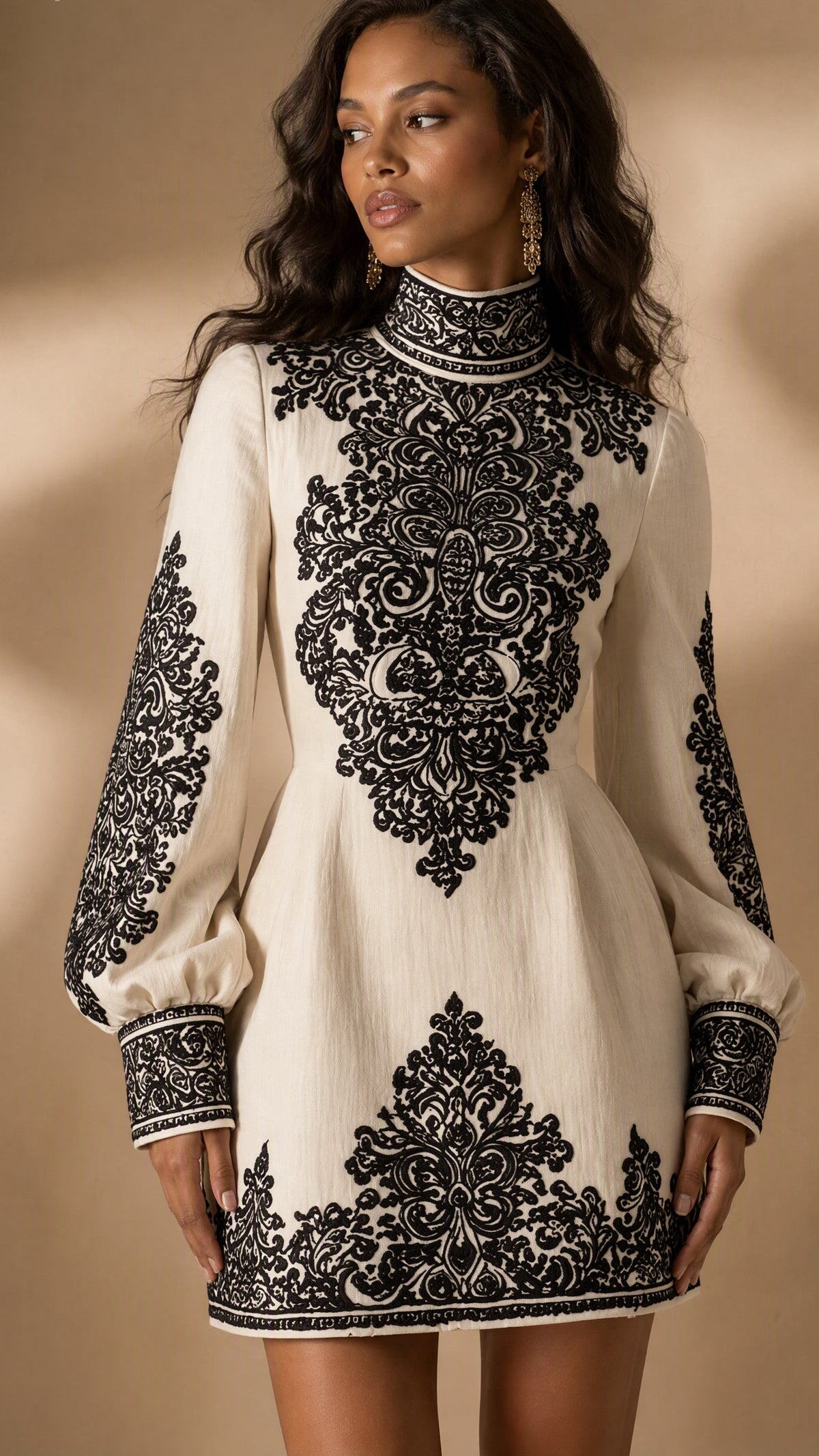 Baroque Embroidered Mini Dress
